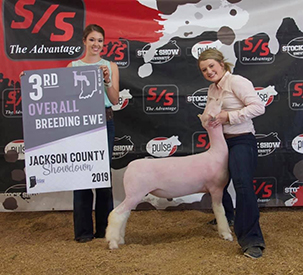 Denos Livestock Winners