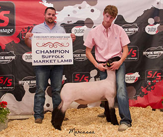 Deno Livestock Winner