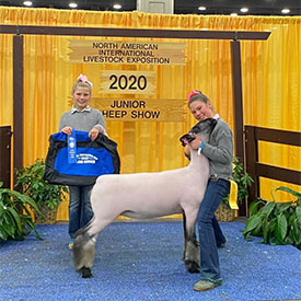 Deno Livestock Winners