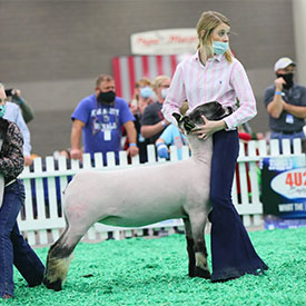 Deno Livestock Winners
