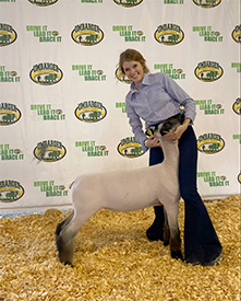 Deno's Livestock Winners
