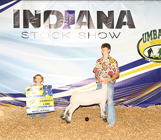 Deno Livestock Winners
