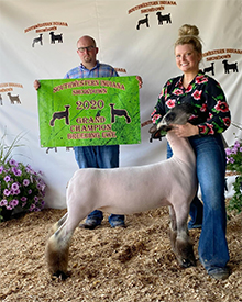 Deno's Livestock Winners