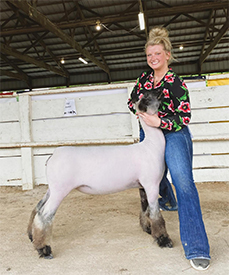 Deno's Livestock Winners