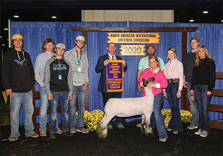 Deno Livestock Winners