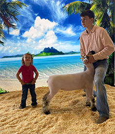 Deno's Livestock Winners