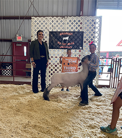 Deno Livestock Winners