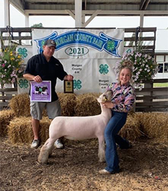 Deno Livestock Winners