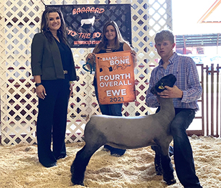 Deno Livestock Winners