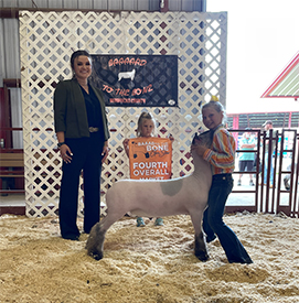 Deno Livestock Winners