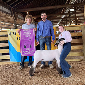 Deno Livestock Winners