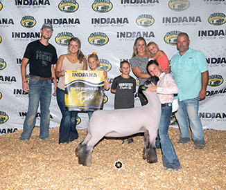Deno Winners