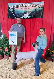 Deno Livestock Winners