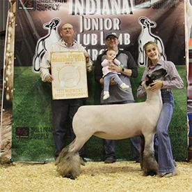 Deno Winners