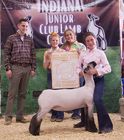 Deno Winners